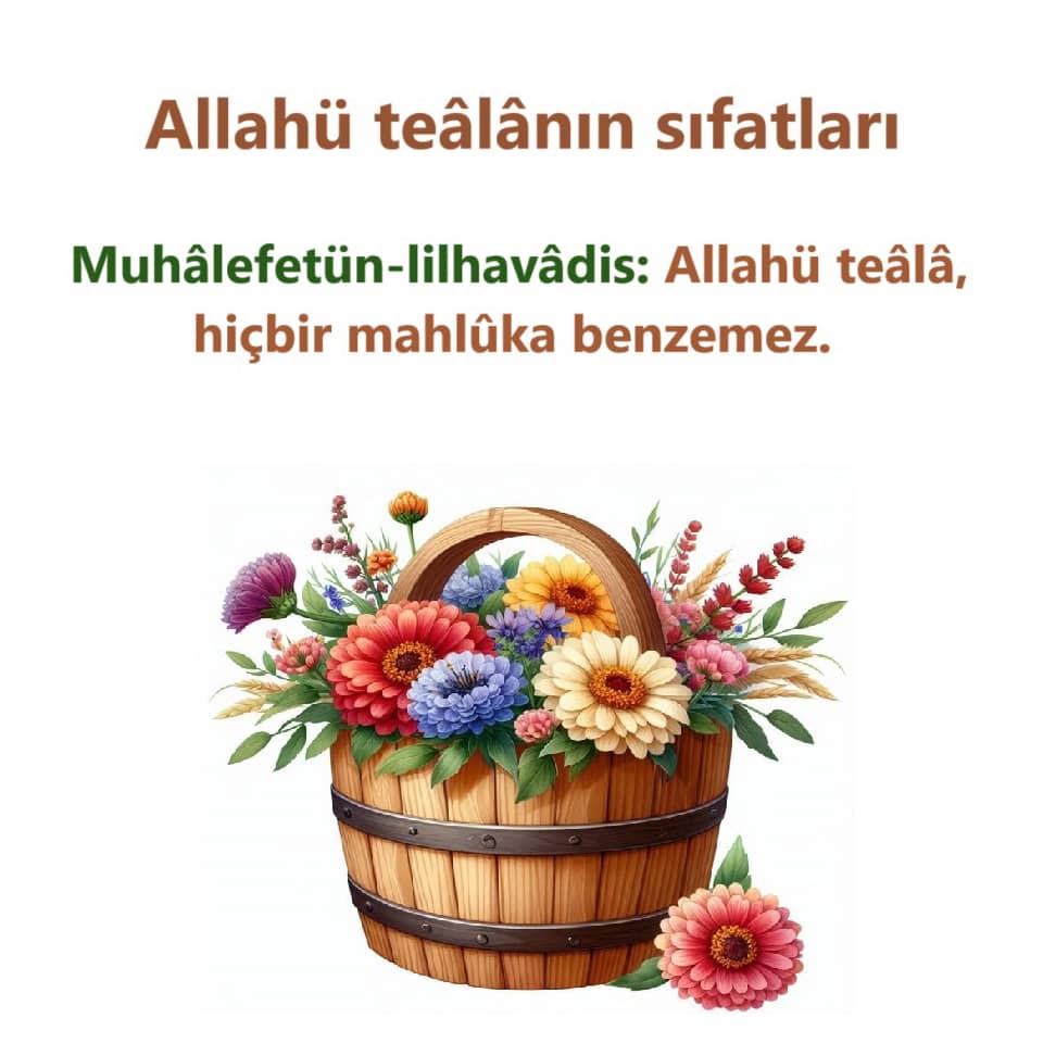 Muhalefetün-lilhavadis (5)
